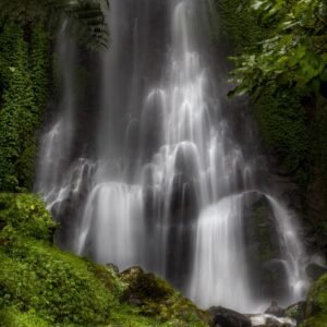 Waterfall Water Tree Moss Scenery