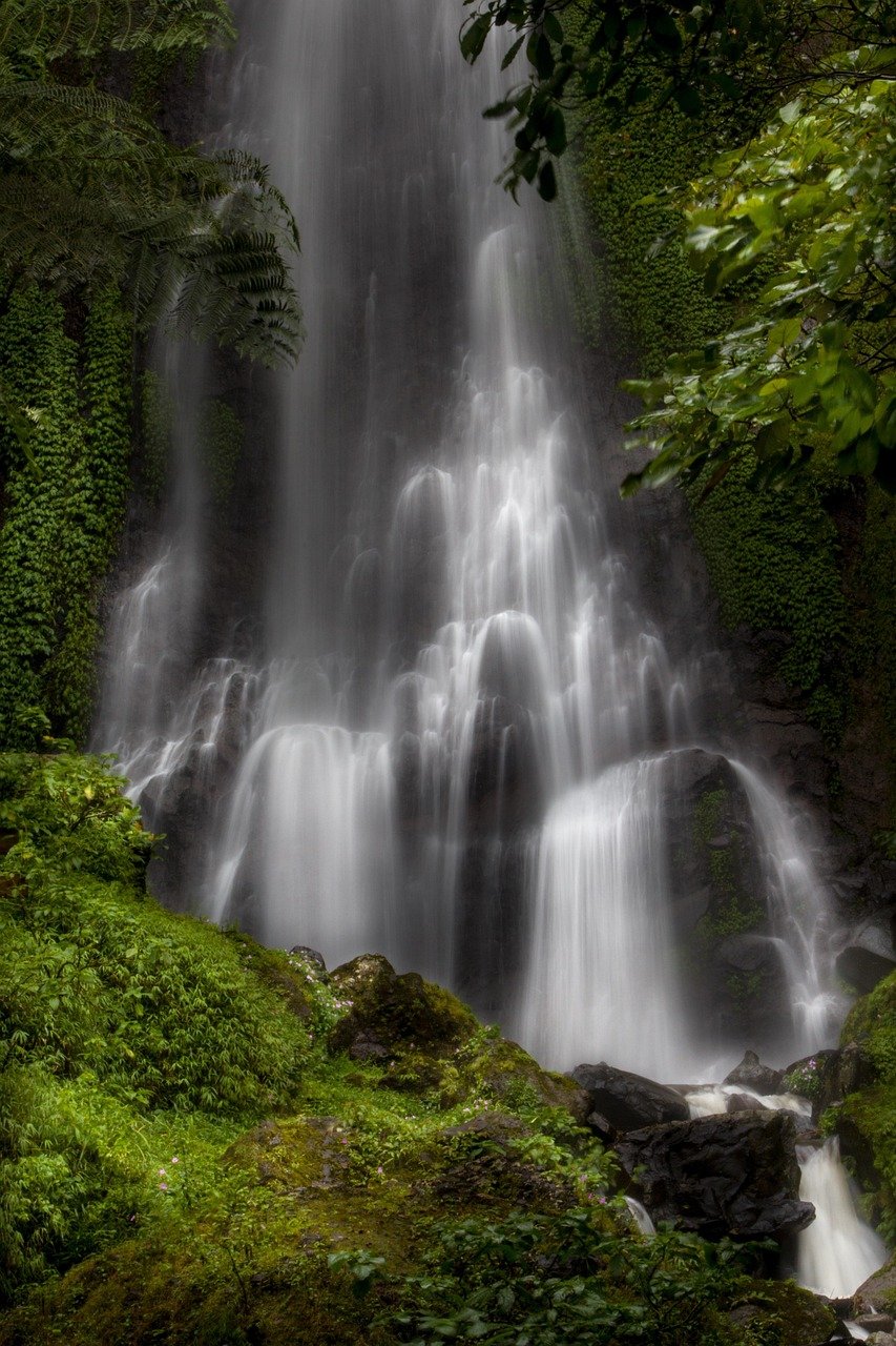 Waterfall Water Tree Moss Scenery